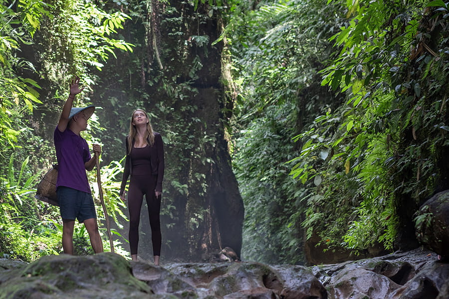 2026 EARLY PRIVILEGE OFFER