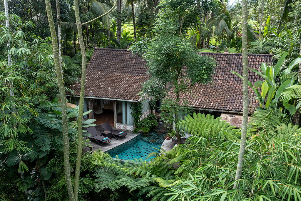 2026 Early Privilege Offer